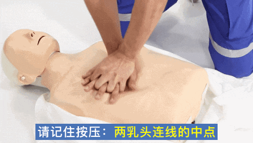 微信图片_20240925162602.gif