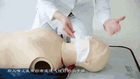 1727252811730580.gif 微信图片_20240925162610.gif