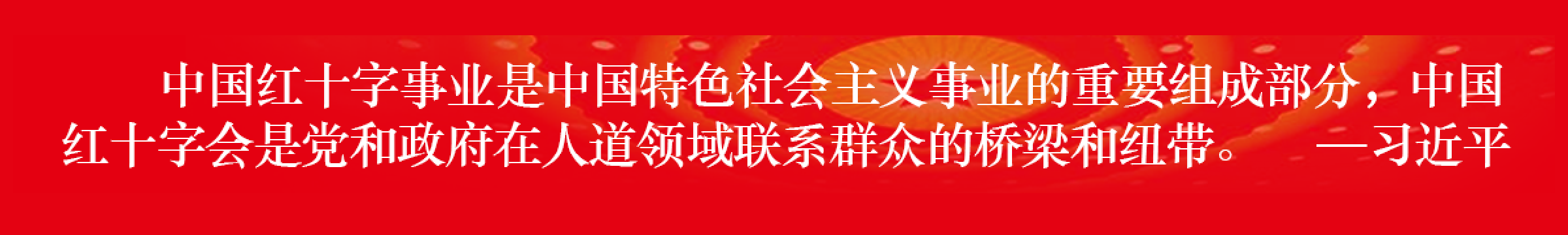 深入学习贯彻习近平总书记重要讲话精神
